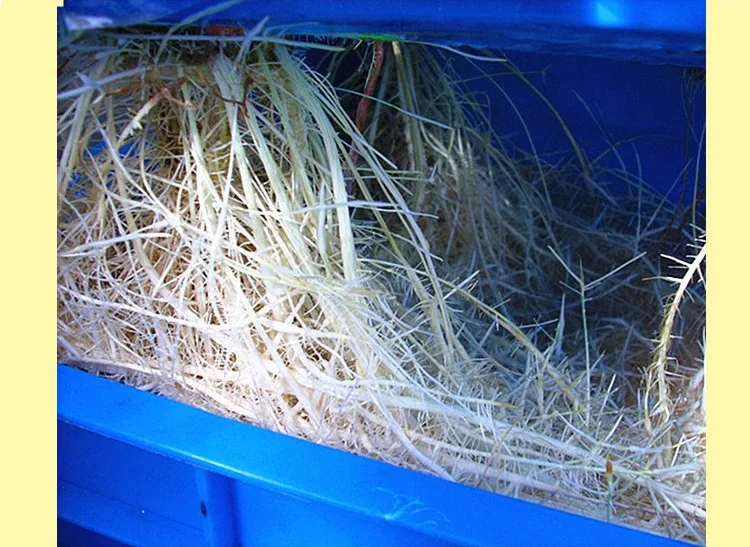 hydroponics grow box plant root growing box balcony plant planting box Factory direct sale