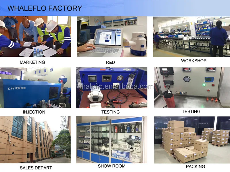WHALEFLO FACTORY3.jpg