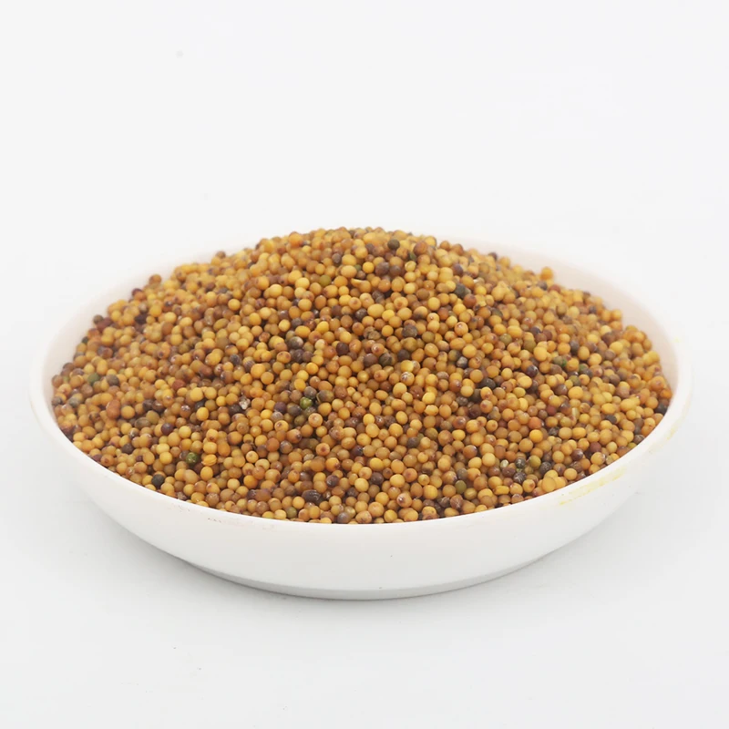 Yellow mustard seed