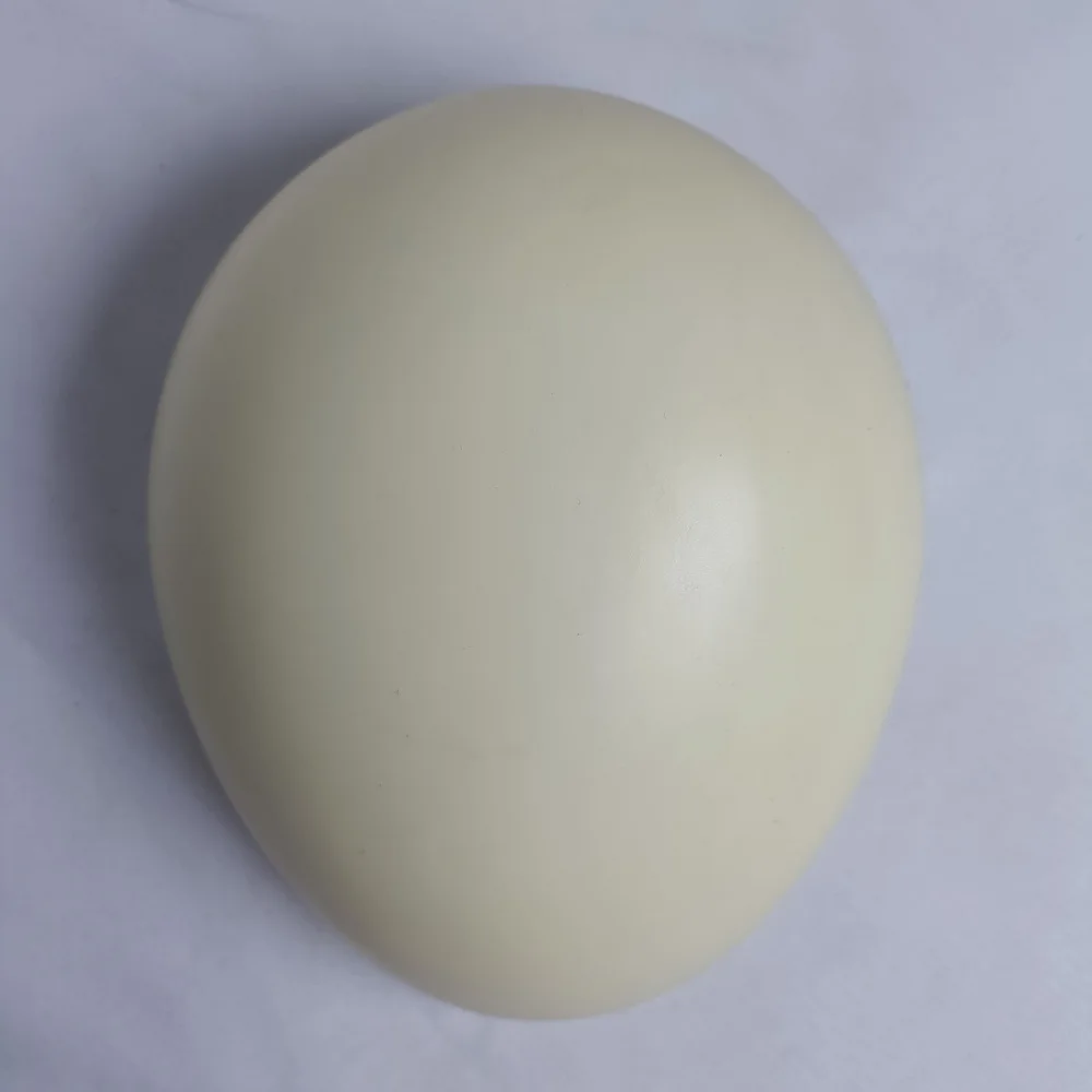 Hot Wig Tools Hand Knotting Mannequin Head Soft Half Head Mannequin For Sewing Knot Hair Aluminium And Plastic Half Head Model