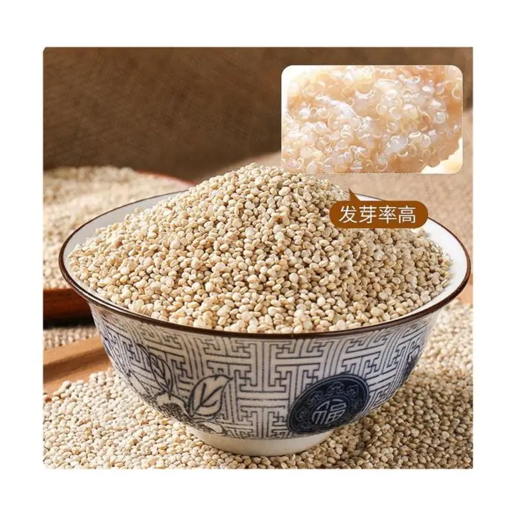 Hot sale premium conventional premium dried white quinoa organic white quinoa