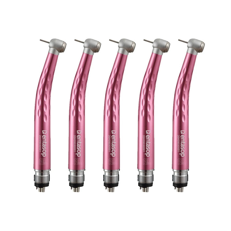Brushless Micromotor Portable Dental Coupling Scaler and High Speed Handpiece Dental Lab Ce Turbine Pink Ceramic Bearing 5years