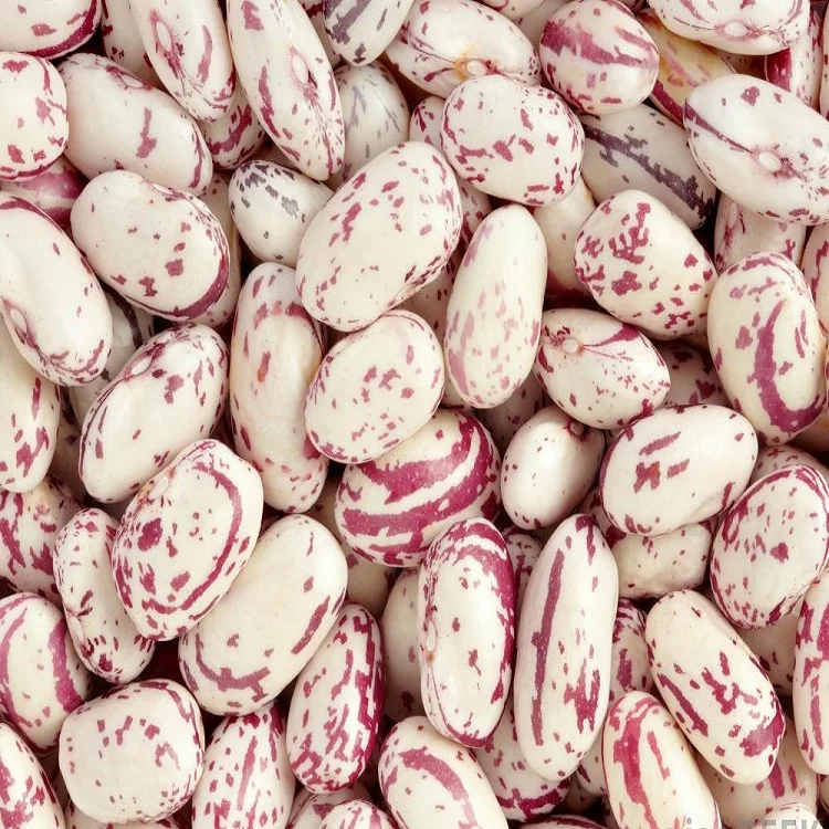 Pinto beans Light Speckled Beans LKSB для продажи