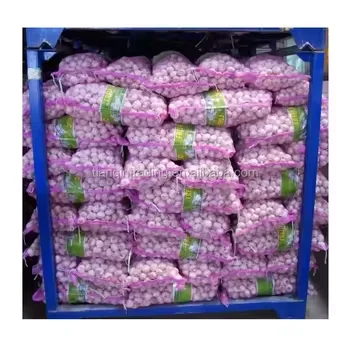 Fresh Pure White Single Garlic China Wholesale Solo Easy Peeled High Value Nutritional Cloves for Sale
