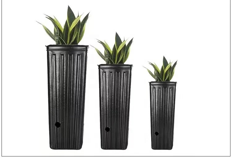 Citrus Nutrition Bowl Disposable Heightened Plastic Seedling Pot Nutrition Cup Seedling Flower Pot Nursery Pot for Navel Orange