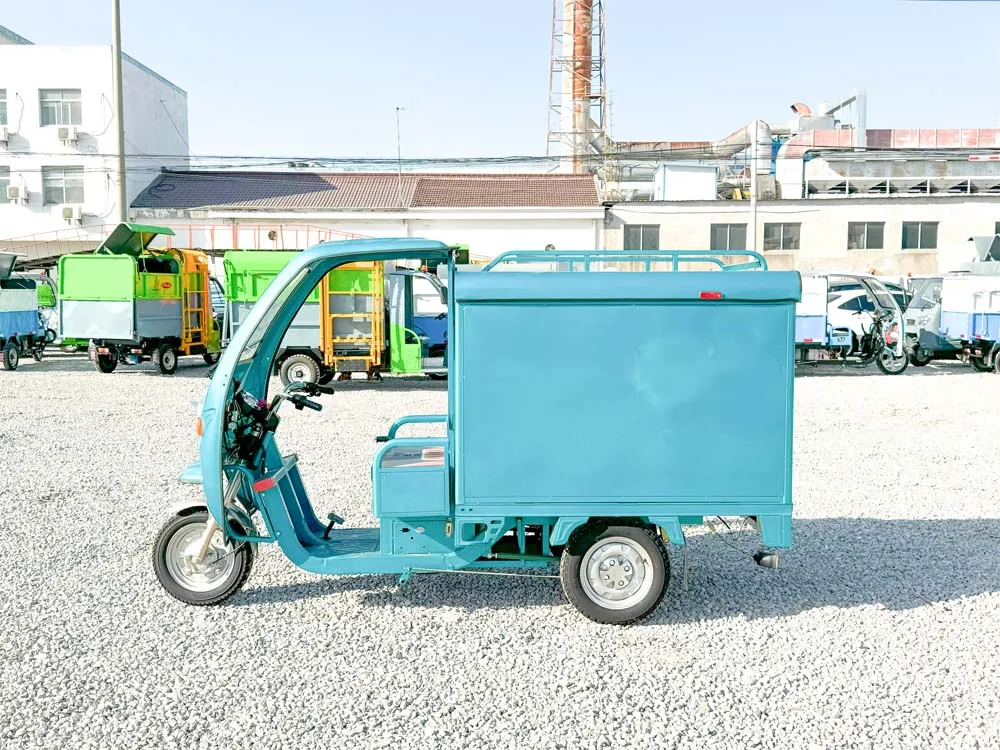 LB-3W4D electric trike fat tire 3 wheel Electric Tricycle three wheels adult cargo electric bike with basket
