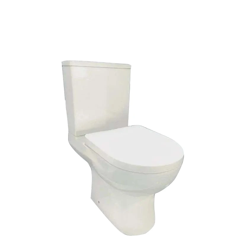 Custom el inodoro WC brits washroom Tualet lavatory toilets modern bathroom extra tall water closet toilet bowl