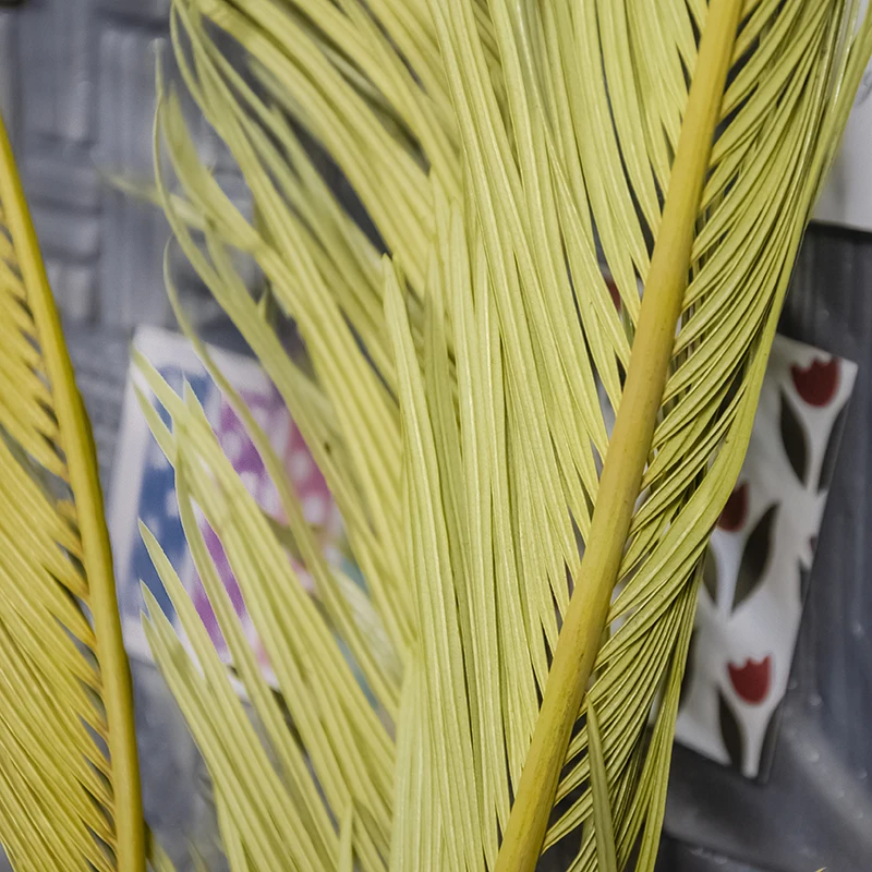Extra Tall Over 3ft Decorative Flowers Cycas Revoluta Preserved Natural Dried Sago Palm Leaves for Floral Arrangements