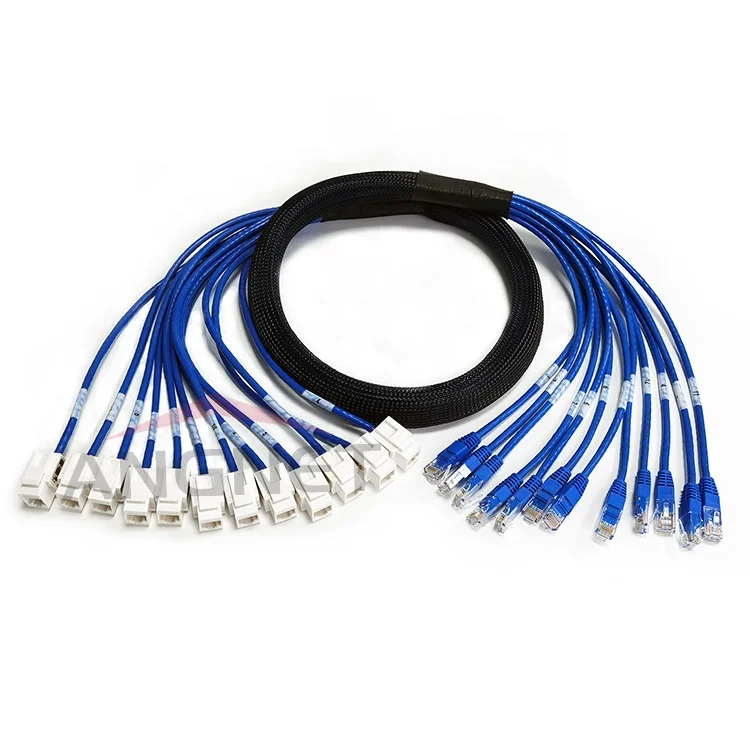 5m (16ft) 12 Jack to 12 Plug Cat.6A UTP or FTP PVC CMR Pre-Terminated Copper Trunk Cable