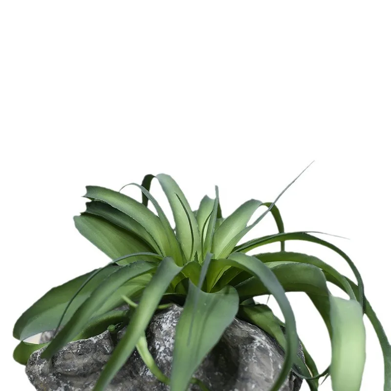 Simulation flocking air bromeliads large desert succulents Nordic decorative project cloth landscape collocation