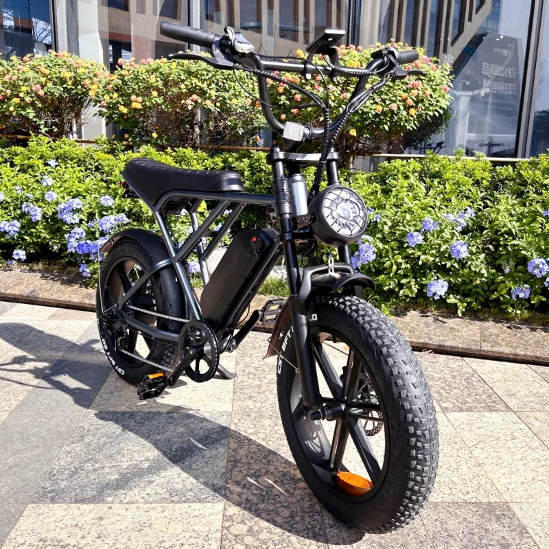OUXI H9 Electric Hybrid Bike Upgrade 250W V8 Fatbike Off-Road City Electric Bicycle with Fat Tire for European Market