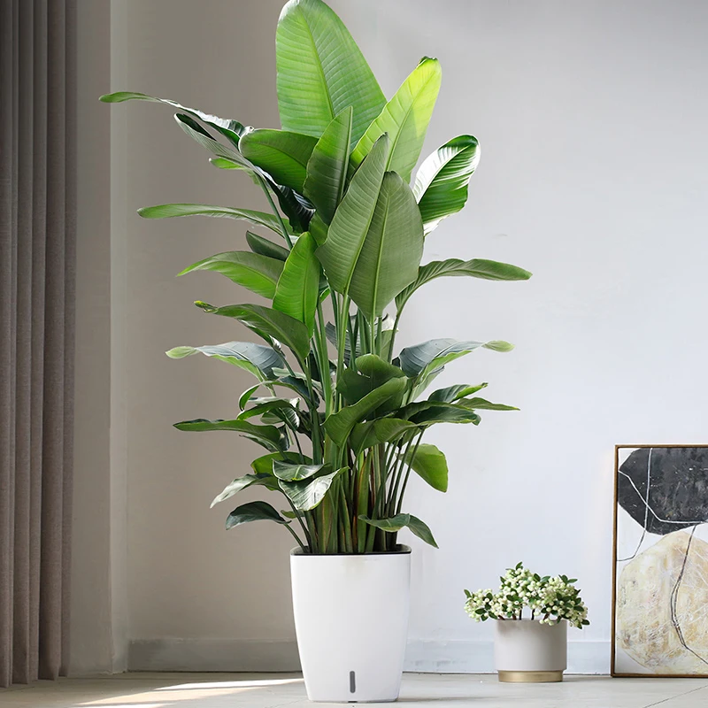 Wholesale Modern Garden Decorative Round Pots Recycled Plastic  Plant Flower Pot