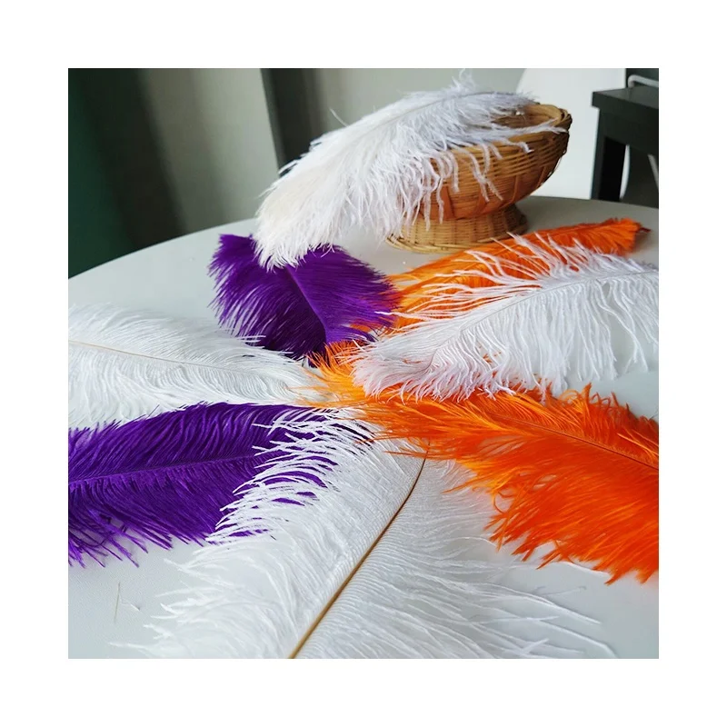 Factory Wholesale High Quality Floristic Decoration Material Fluffy Ostrich Feather