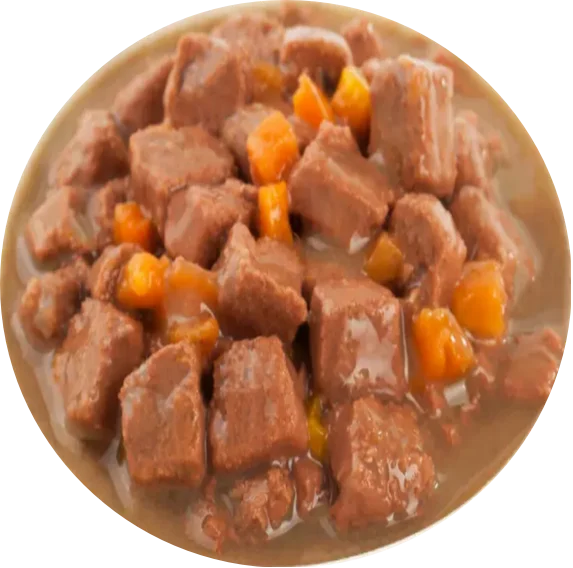 wet food for dogs and cats- Pouch