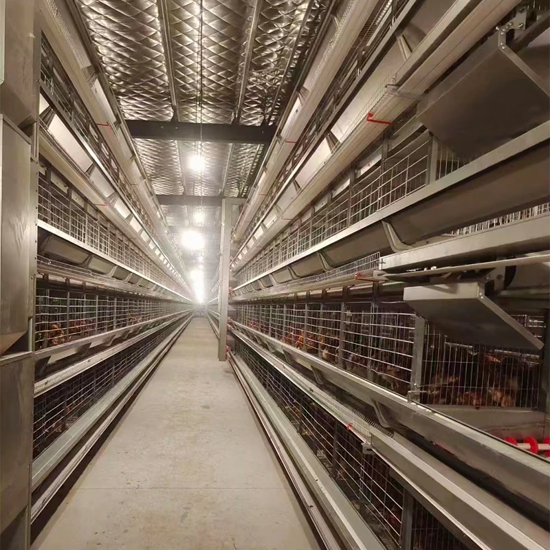 Good Price H-Shaped Chicken Layer Cage Full Automatic for Poultry Farm Coop for Chicken Rearing