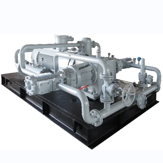 Best-Selling Noiseless Oil-Free Air Compressor CNG Natural Gas for CNG Filling Station