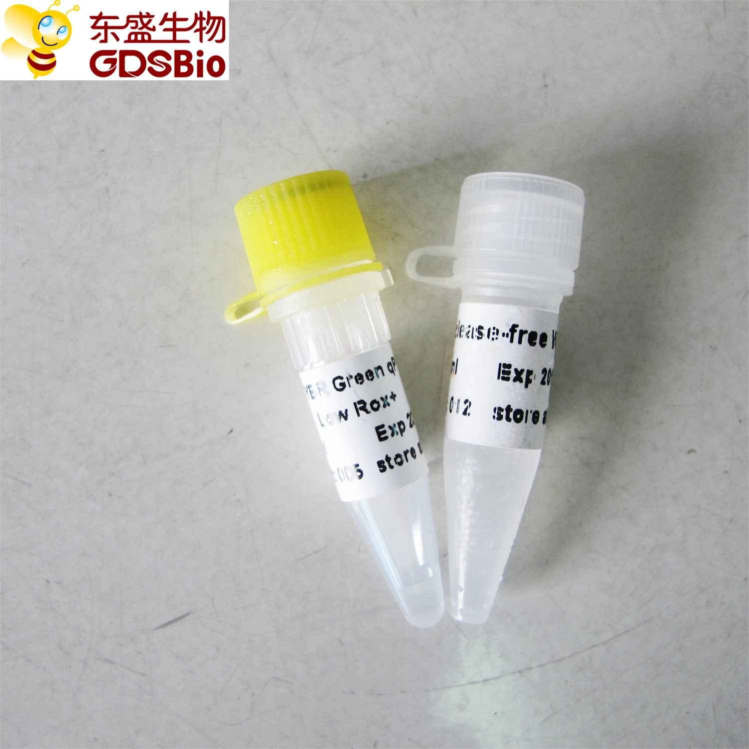 SYBR Green qPCR Mix, chemistry dye Real Time PCR, P2091 1ml