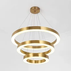 Modern Nordic Ring Design Light Led Ceiling Chandelier Home Decor Ceiling Pendant Lights For Dining Coffee Table Decorative Lamp
