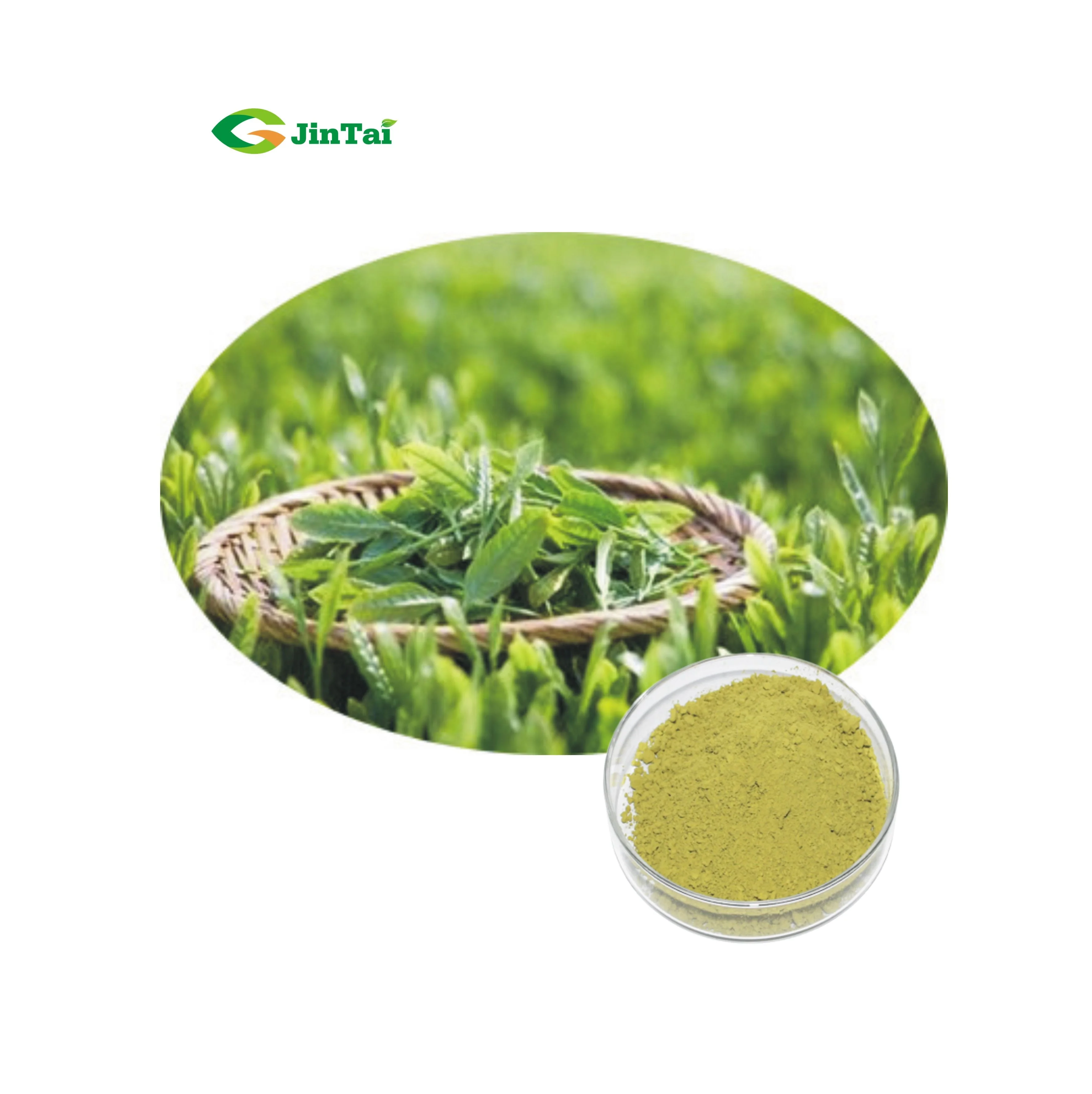 Оптовая продажа Matcha зеленый чай порошок органический