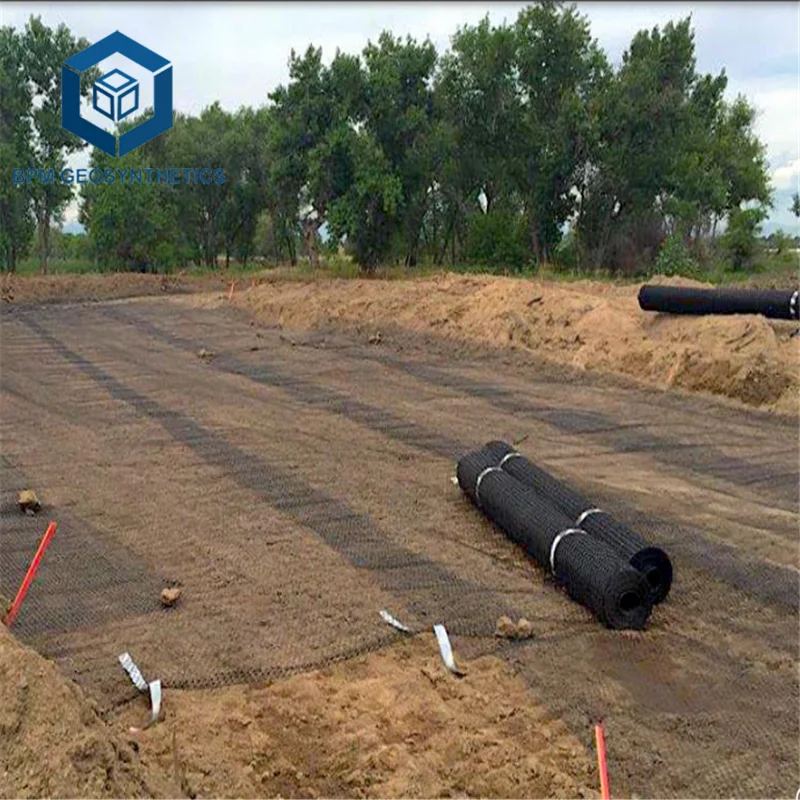 Plastic Road Geo Grids PP Biaxial Geogrid 40/40Kn 30/30Kn for Road Reinforcement