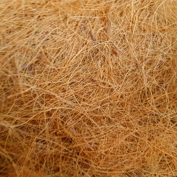 Coconut Fiber,Sisal Fiber,Sisal Twine Ropes Available.