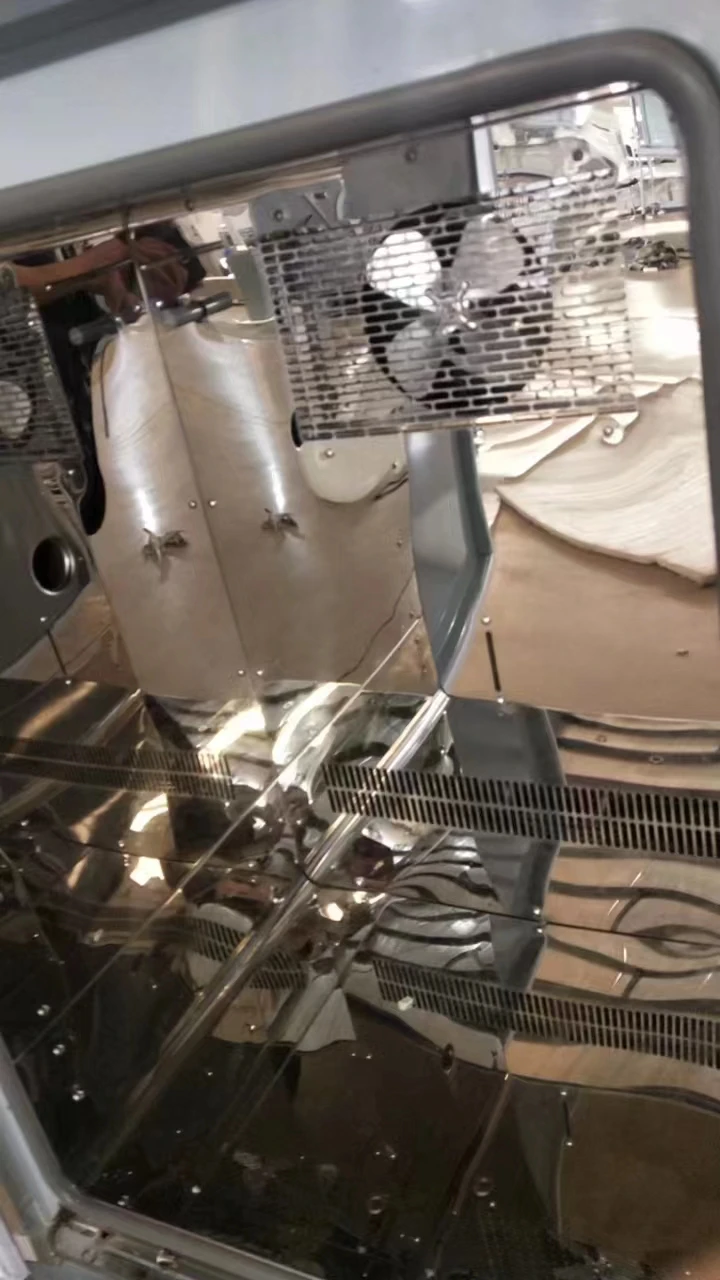 Laboratory Bacteria Microbiology Mildew Mould Incubator