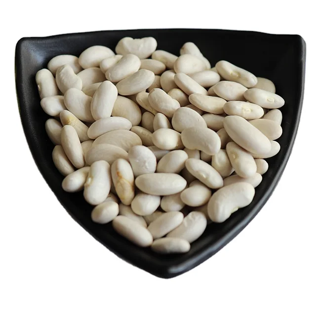 Best Big White Bean Dried White Kidney Bean Sugar Bean