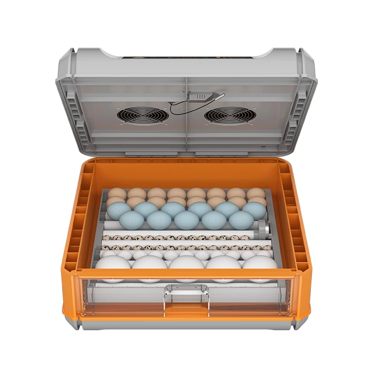 1 Layer 64 Egg Capacity Fully Automatic Egg Hatcher Eggs Incubator