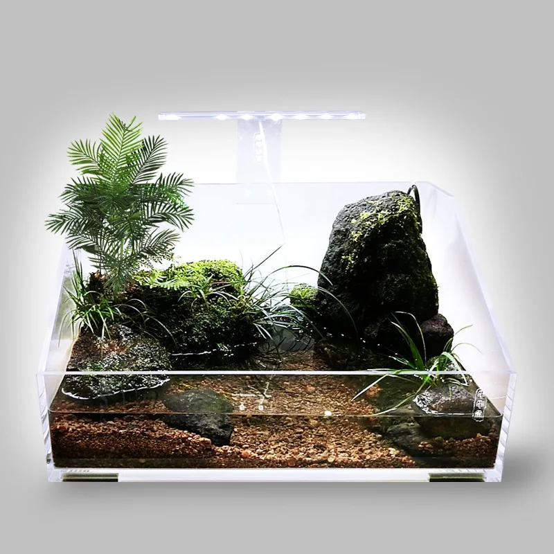 Ecological Landscaping Tank Transparent Acrylic Fish Tank Turtle Tank Small Aquarium Desktop Reptile Terrarium