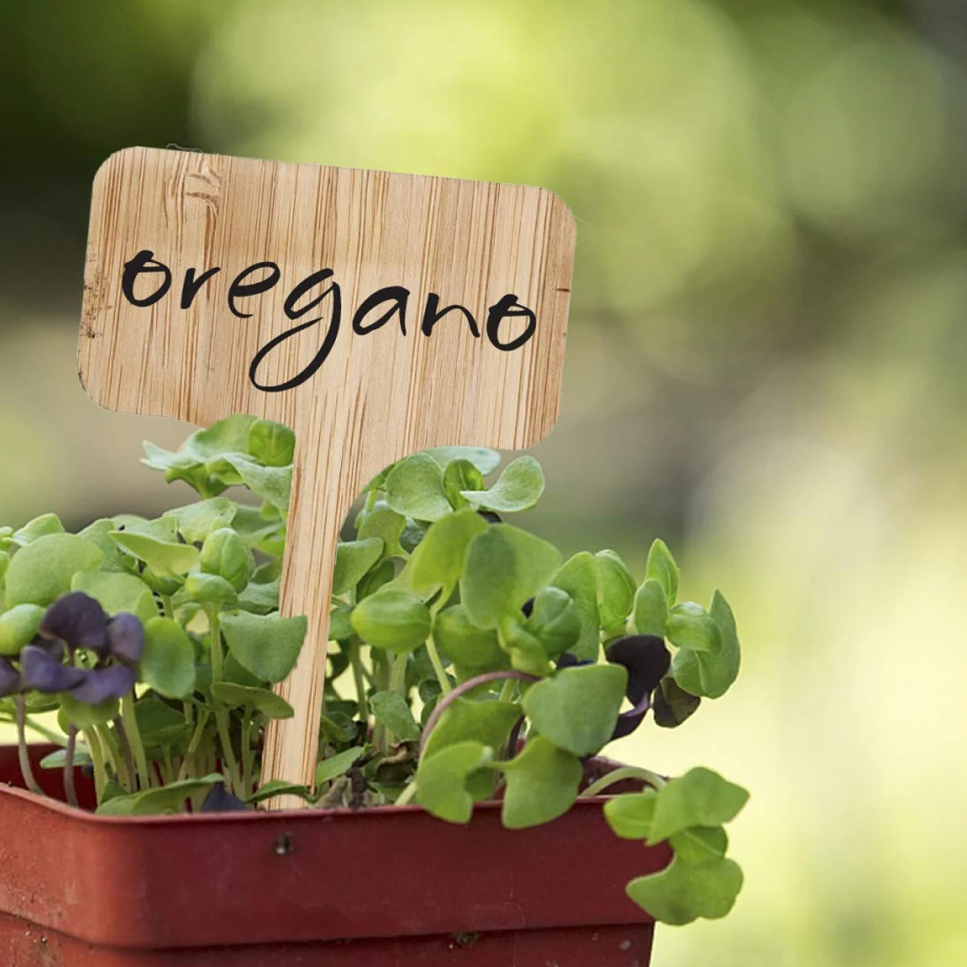 Bamboo Plant Labels Garden Markers T-Type Plant Tags Flower Marker Thick Tag Label