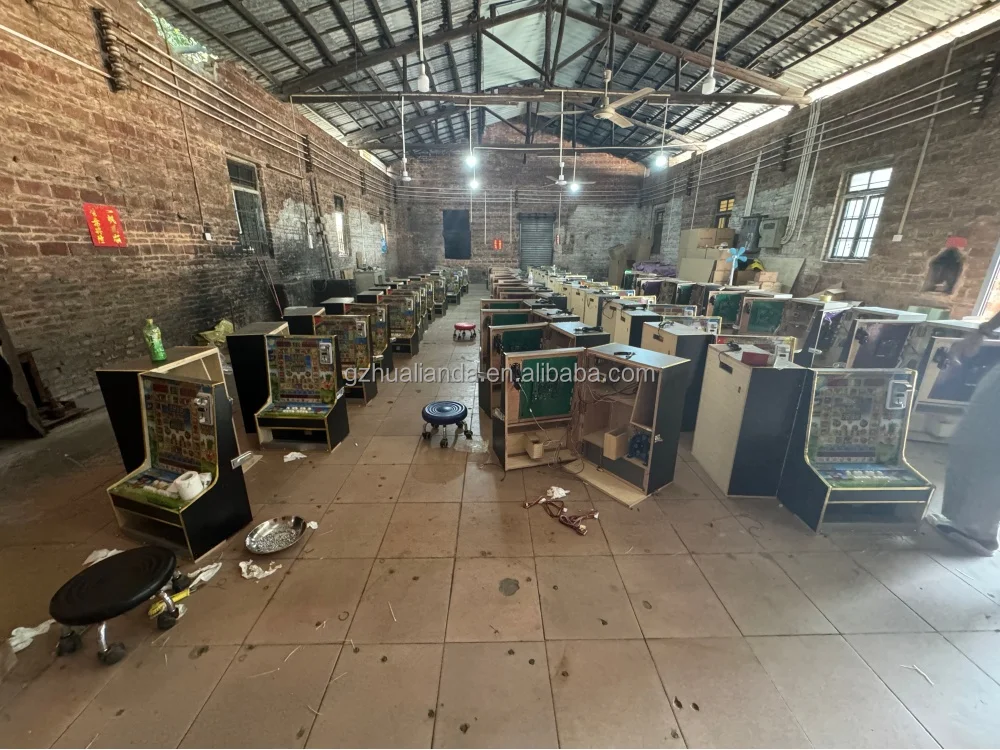 HL High Quality Wooden Bonanza Machine Coin-Operated Arcade Mario Game Fruit King 3 PCB 220V Arcade Game Console