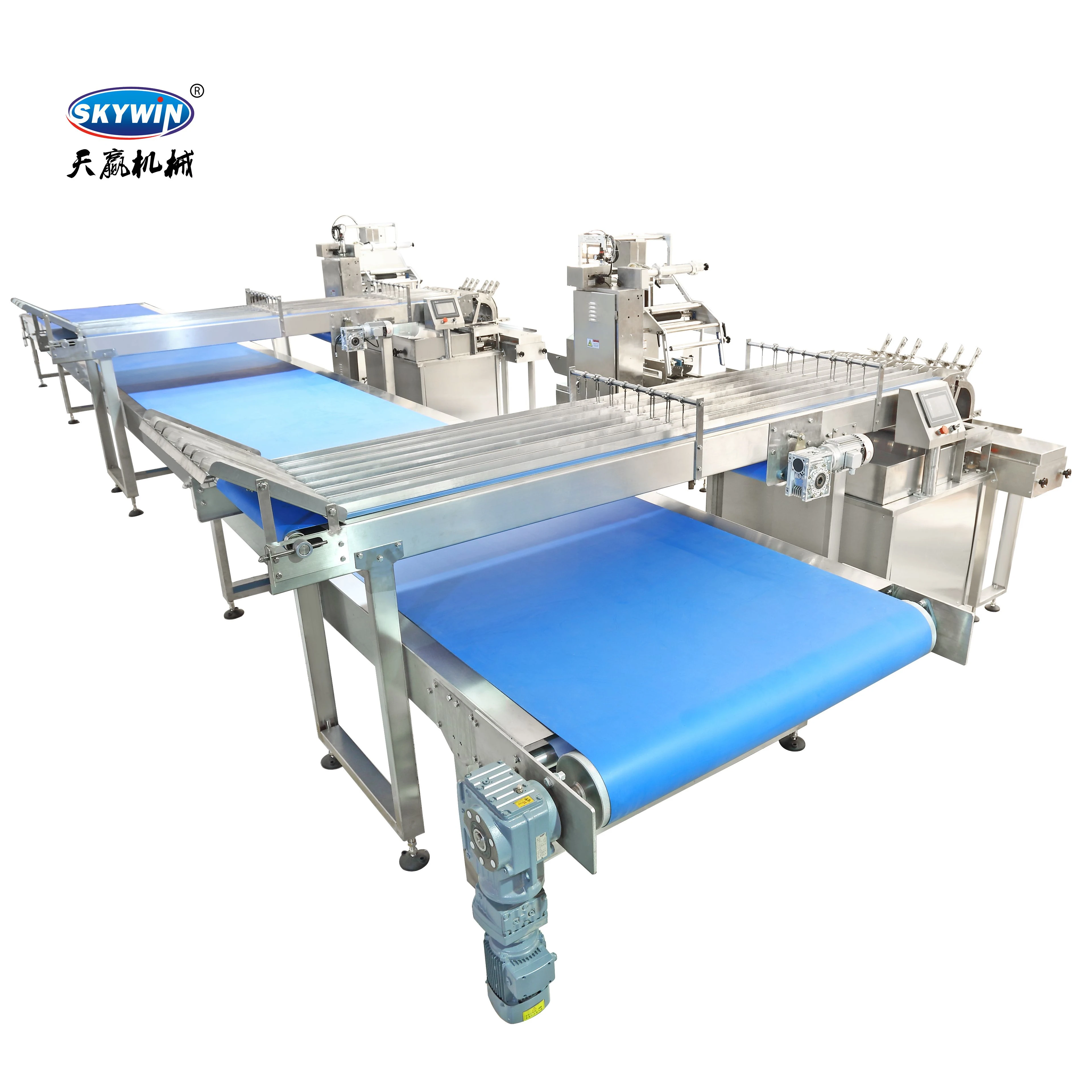 Automatic Loading Pilepack Biscuit Feeding and Packing Machine Two SK-530 packaging biscuits cookie with 6 lanes auto feeder