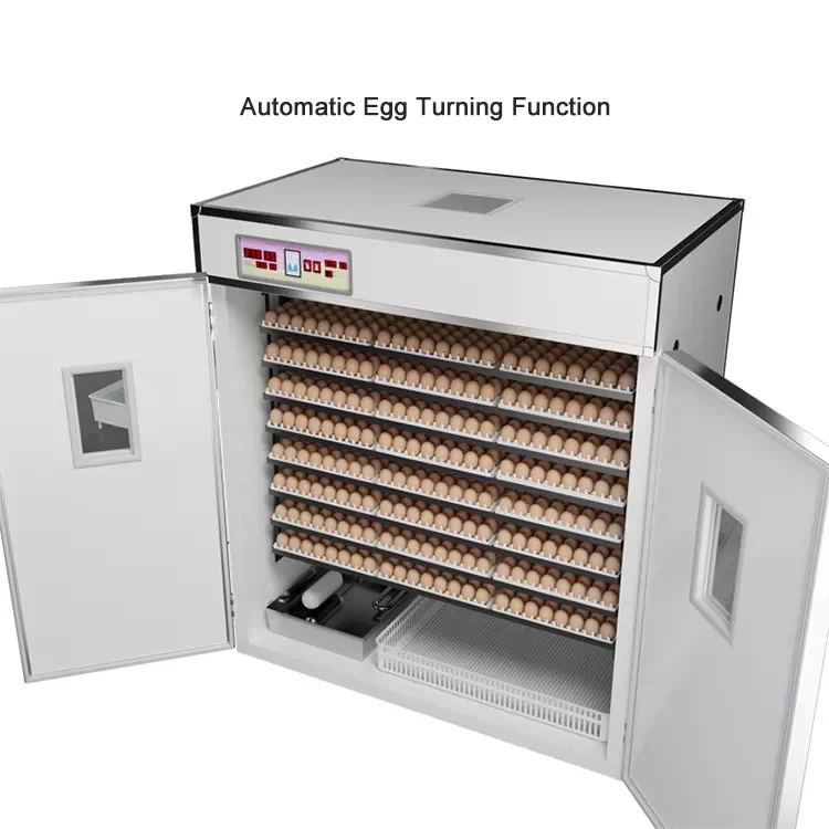 Incubadora de huevos fully automatic industrial large chicken egg incubator 5000 for sale in Canada