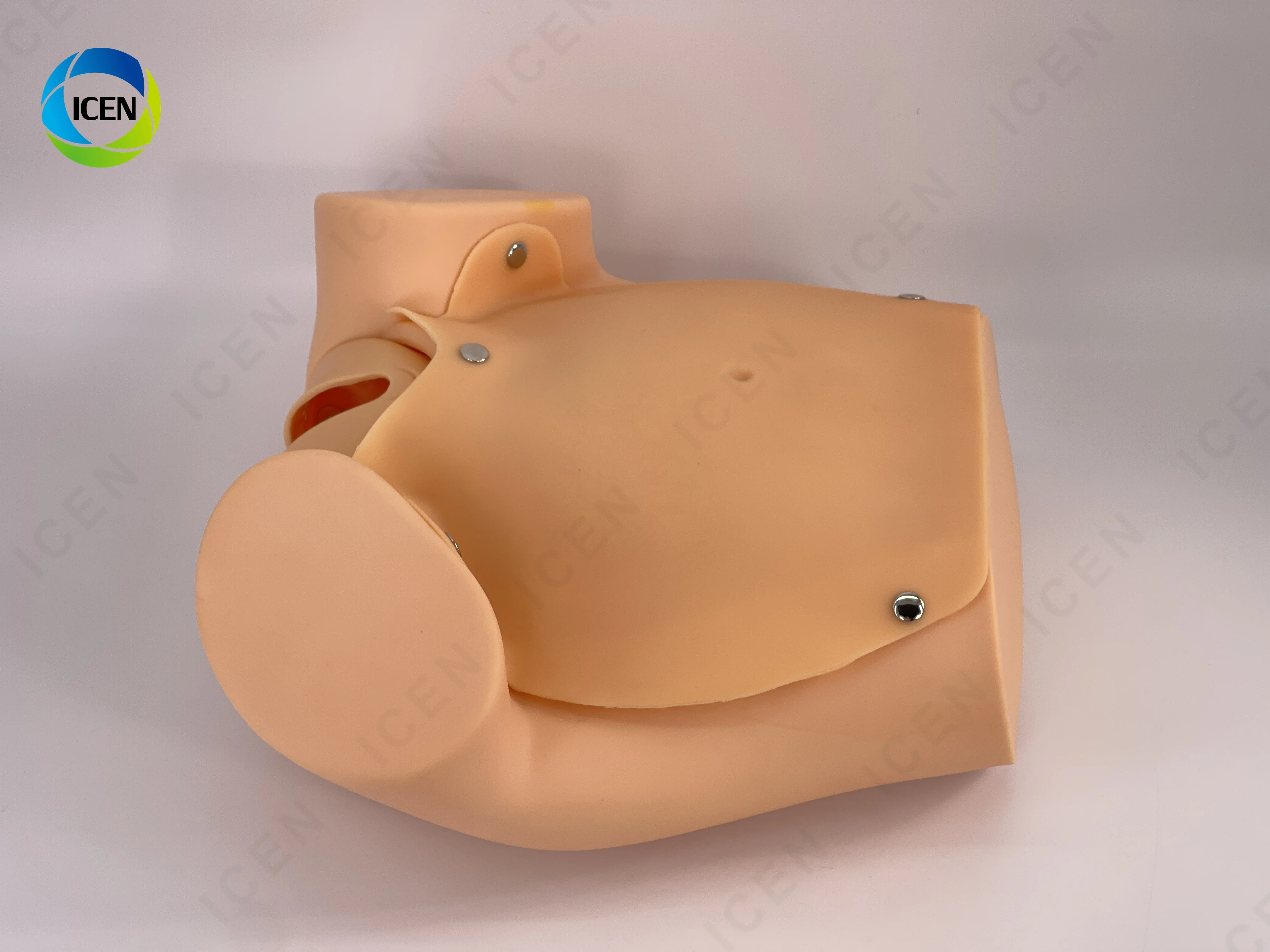 IN-M10 Delivery Model Maternal And Infant First Aid Training Model Of Emergency Nursing For Pregnant
