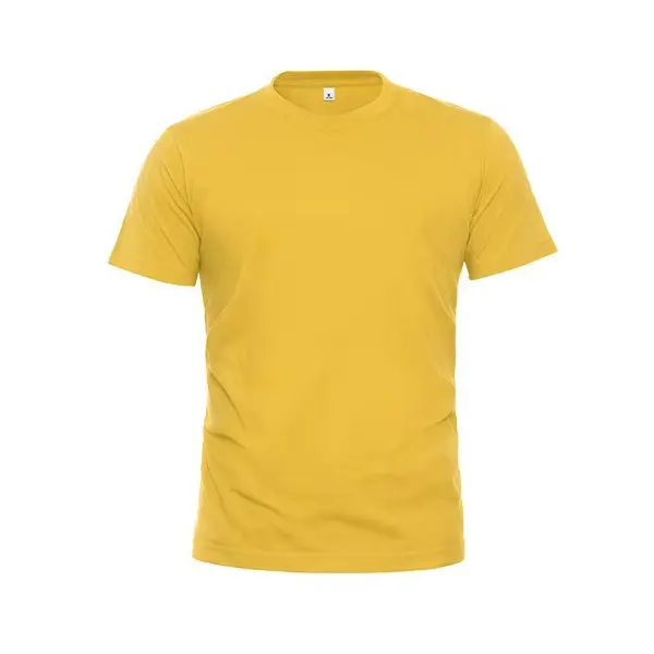 Ready Made Cheap 100% Cotton Blank T-Shirt In Different Color Custom Silk Printing Letters Fast Delivery  Free Blank Sample