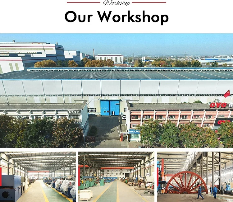 customized large scale gears for rotary drum dryer