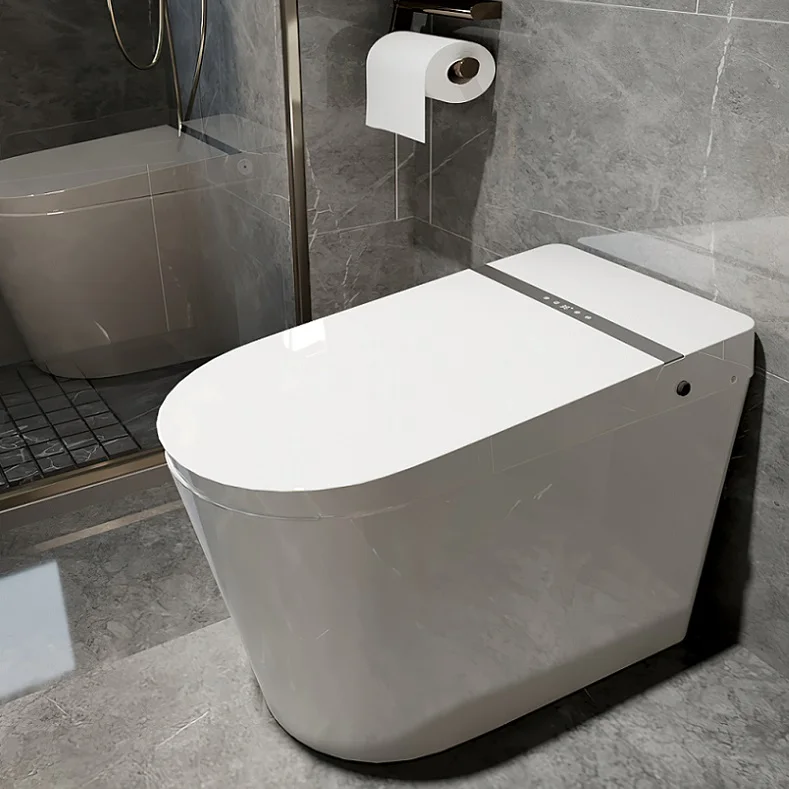 Modern 110V floor toilet automatic toilet bidet smart intelligent toilet