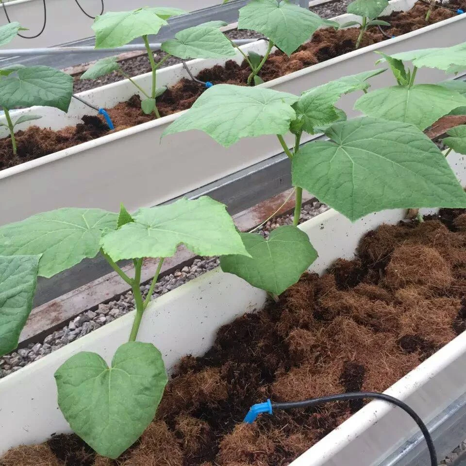 Large size hydroponic PVC substrate tank for strawberry and tomato planting