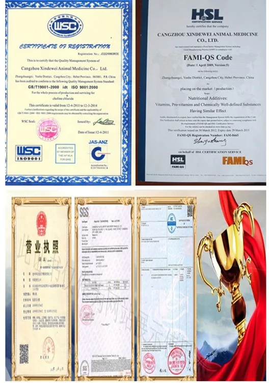 cgm corn gluten meal 60% protein corn yellow corn powder not gluten meal animal feed 50 kg