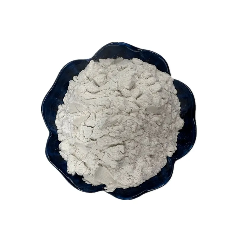 Absorb Water Diatomite for Hand Washing Sand in Garage Diatomaceous Earth Powder for Sewage Treatment