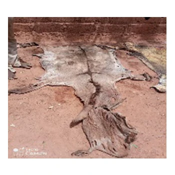 
HIGH QUALITY COW AND DONKEY SKIN 