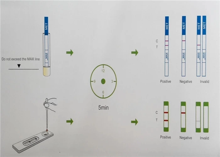 
Amphetamines/Methamphetamine/Benzodiazepines /MDMA/Opiates rapid test kit urine specimen Drug Test Glob Biotech 