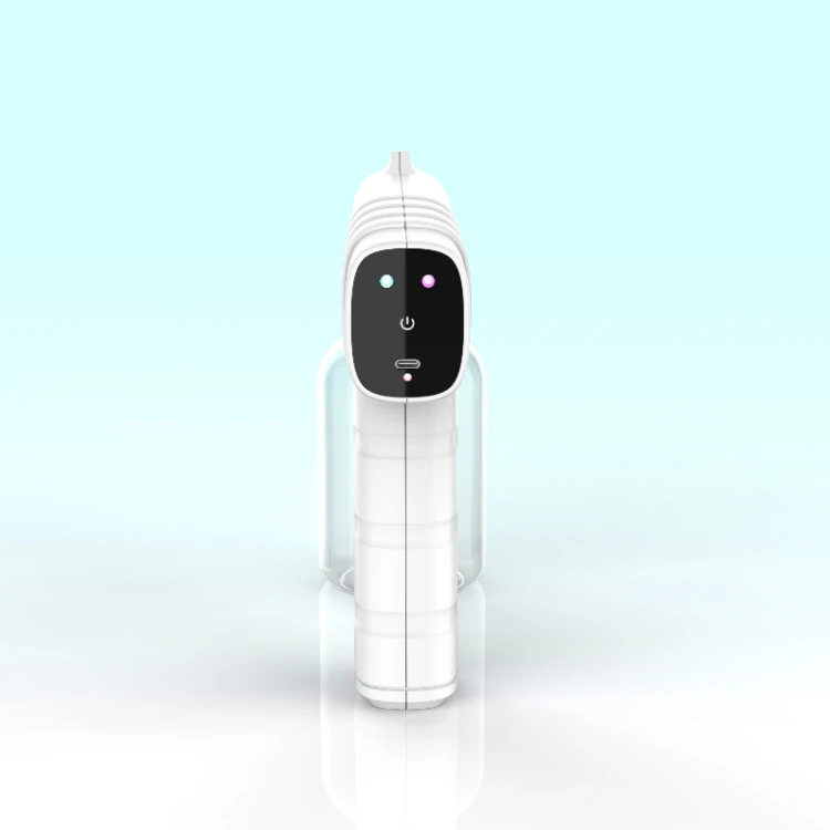 Wireless Nano Sprayer HOCl Disinfection Generator Fogging Pet Handheld USB Chargeable Atomizer Spray Gun for Pet Sanitizing