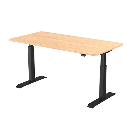Ningbo Summit TS-R13SP Dual Motor 50mm/s Low Noise Height Adjustable  Standing Sitting Desk
