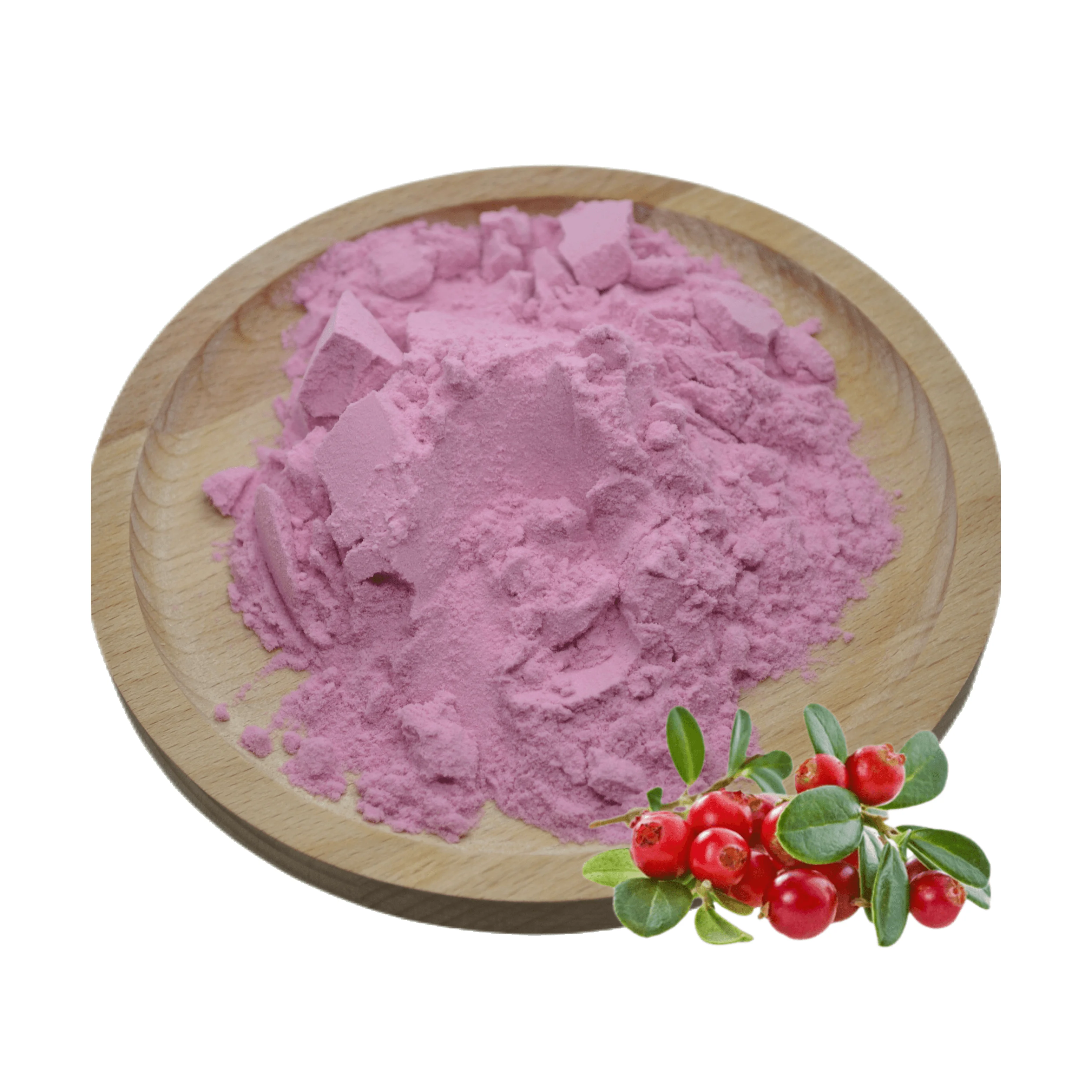Spray Dried Powder Cranberry Juice Powder Anthocyan Powder