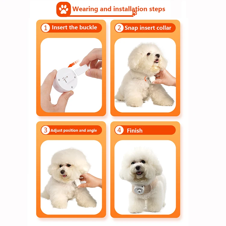 Pet Supplies Pet social light projection LED customized photo name pet lights dog social lamp