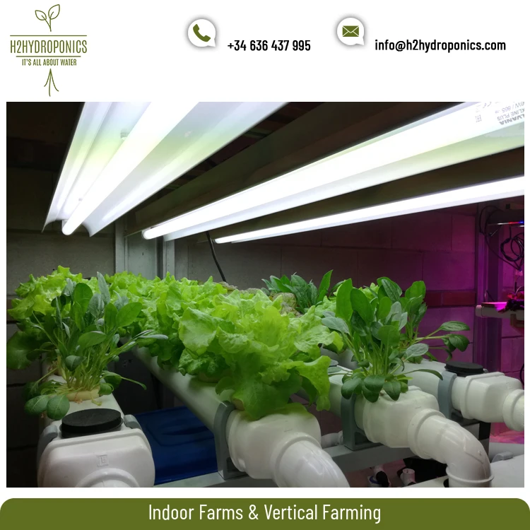 
Spain Best Selling Vertical Pipe Hydroponic System for Plant Growth 