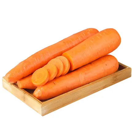Quality Fresh Fresh Best Price Good Quality Carrots Vegetables