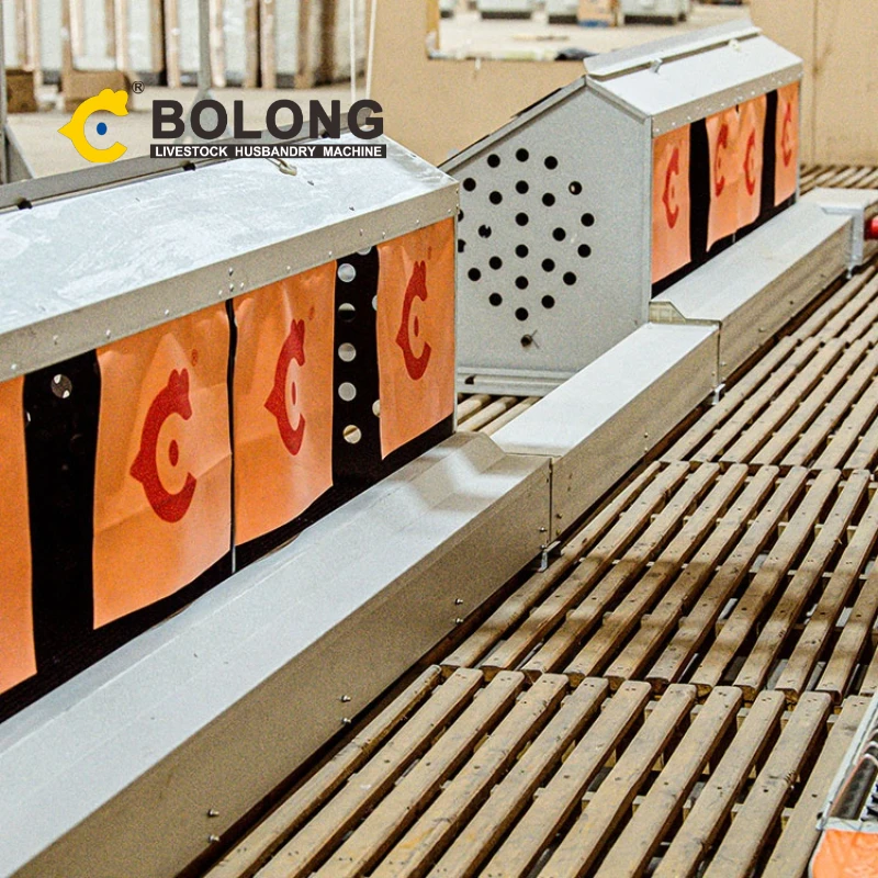 BOLONG poultry automation equipment chicken poultry farm equipment free range chicken barn