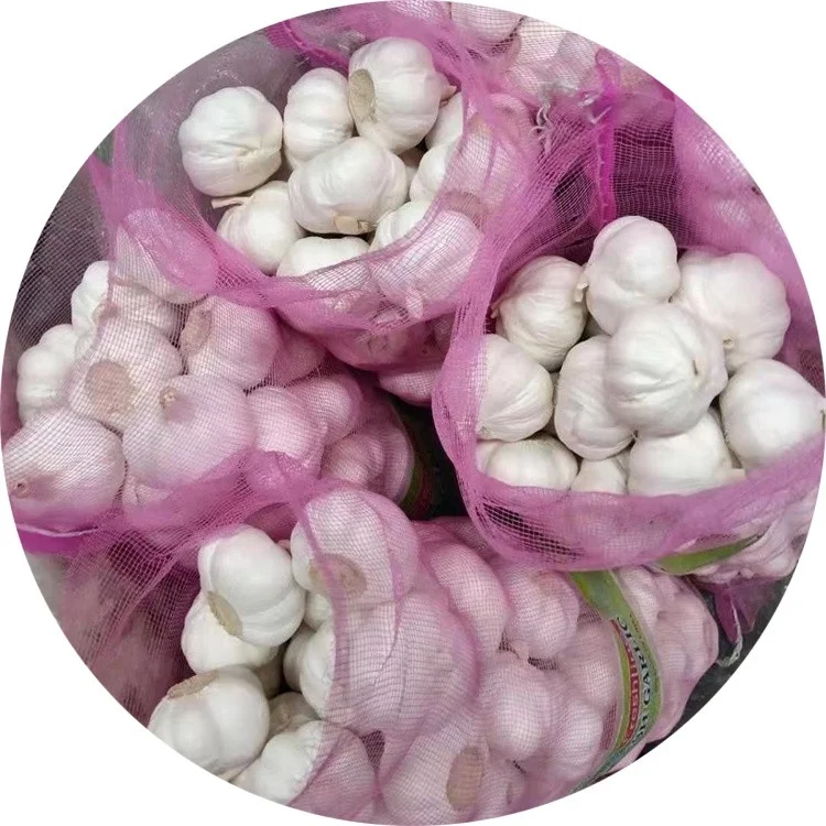 Чистый белый свежий чеснок, низкая цена, белоснежный чеснок, Китайское происхождение, супер белый чеснок оптом на экспорт